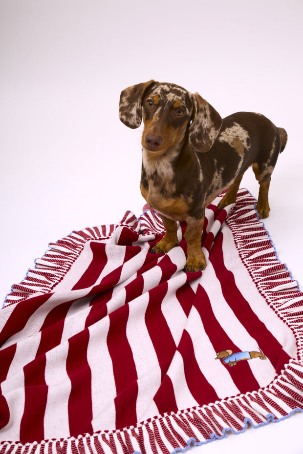 Manta 100% algodón - Funny Teckel Stripes