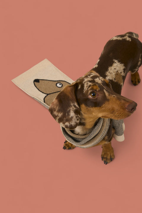 Bufanda infantil Fanny Teckel