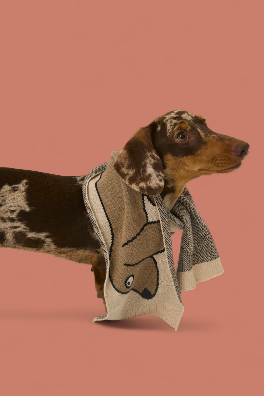 Bufanda infantil Fanny Teckel