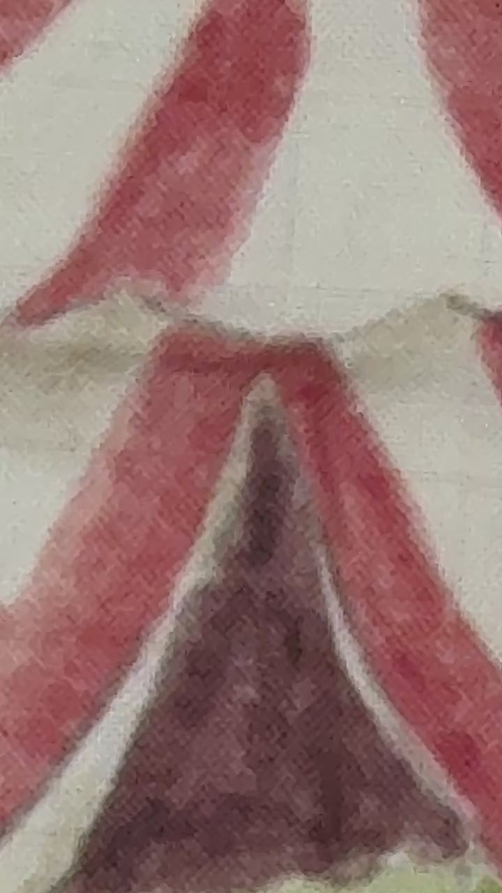 Video Soft bamboo muslin fabric detail of Baby Bites Circus Fair blanket1
