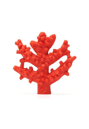 Mordedor Coral