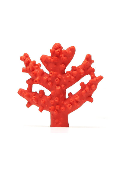 Mordedor Coral