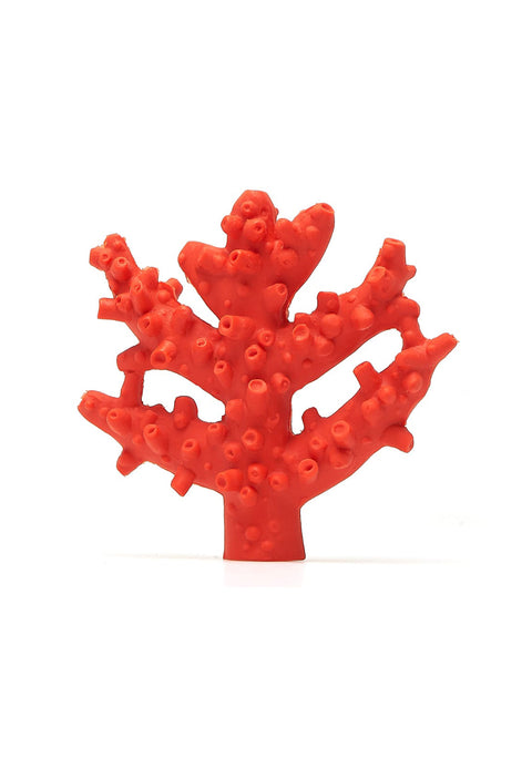 Mordedor Coral